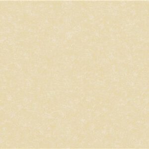 Виниловые обои в Калининграде