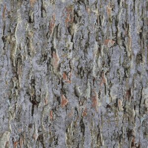 Флизелиновые обои в Калининграде