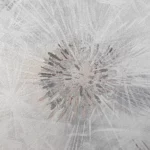 Флизелиновые обои в Калининграде