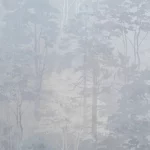 Флизелиновые обои в Калининграде