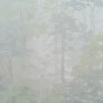 Флизелиновые обои в Калининграде