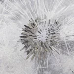 Флизелиновые обои в Калининграде