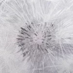 Флизелиновые обои в Калининграде